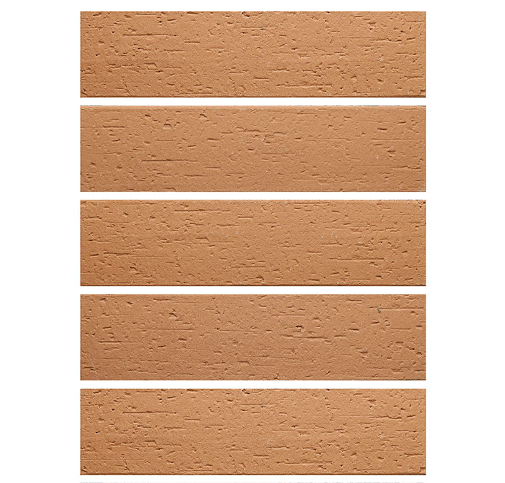 2022.5.16_10.11.9_2188