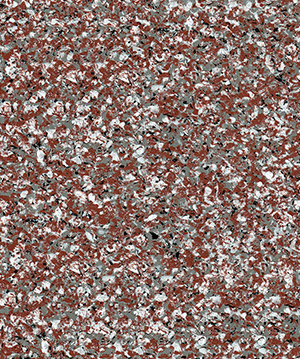 2022.6.22_8.50.35_8781