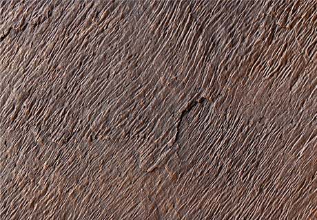 2023.9.6_16.30.32_3592