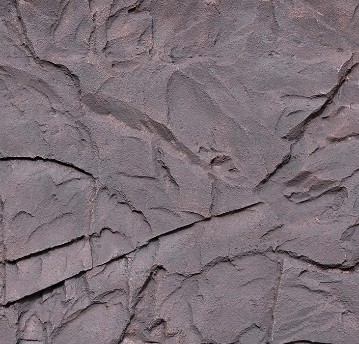 2024.10.22_13.52.2_9497