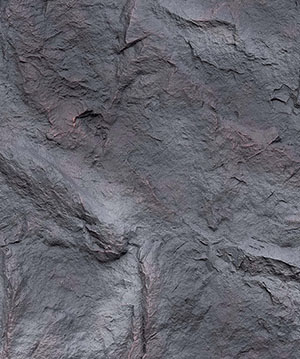 2024.10.22_14.1.15_5184