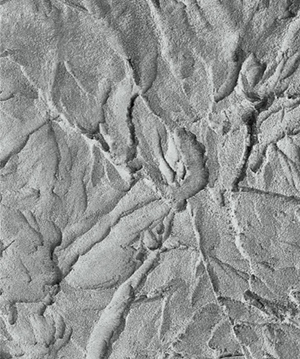 2025.4.14_16.0.55_1899