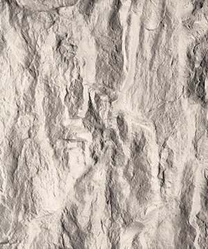 2025.4.14_16.47.26_8529