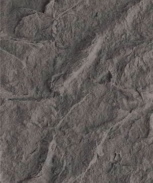 2025.4.14_16.57.40_1076