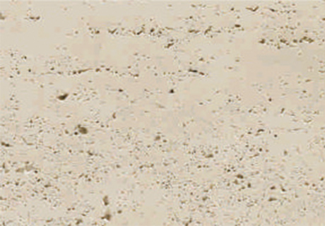 PG电子|PG电子平台·(中国)官方网站